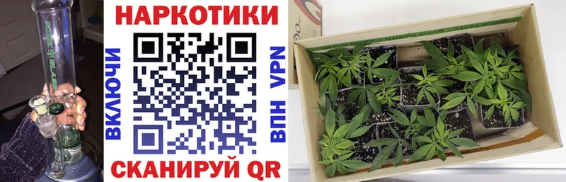 Наркошоп Дзержинск МЕТАДОН  COCAIN  АМФ  APVP  кракен как войти  ГАШ  Бошки Шишки  МЕФ 