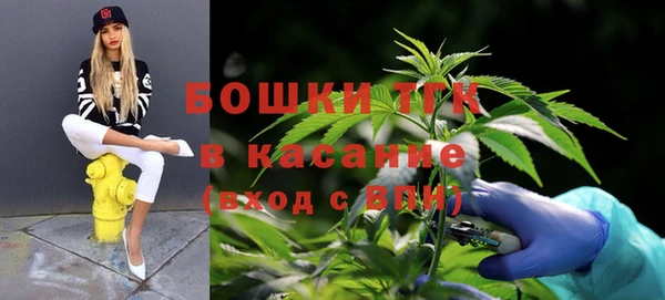 тгк Мегион