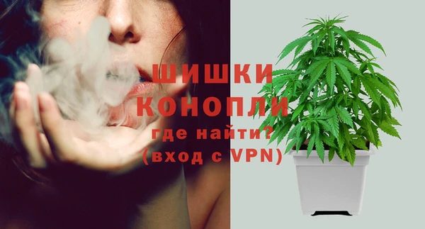 PSILOCYBIN Медногорск
