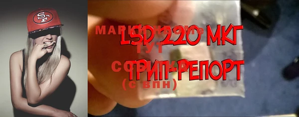 PSILOCYBIN Медногорск