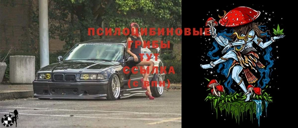 скорость Медвежьегорск
