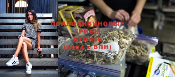 PSILOCYBIN Медногорск