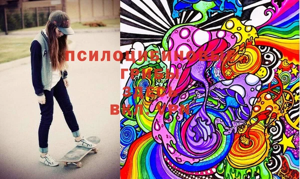 скорость Медвежьегорск