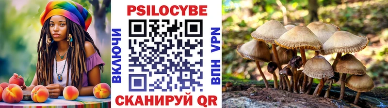 Галлюциногенные грибы прущие грибы  цена   Дзержинск 