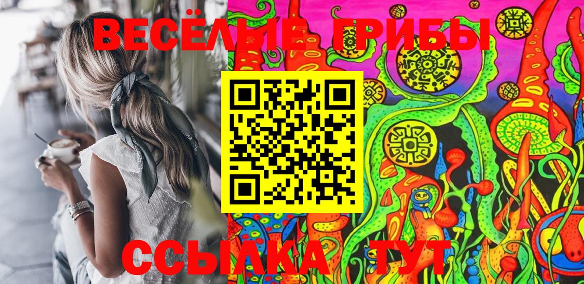 купить наркотик  Псилоцибиновые грибы ЛСД  Дзержинск  Галлюциногенные грибы Cubensis 