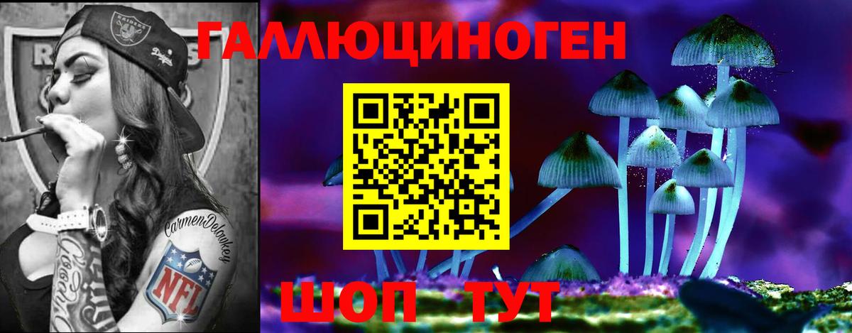 Псилоцибиновые грибы Psilocybe  Вход с VPN  Дзержинск 